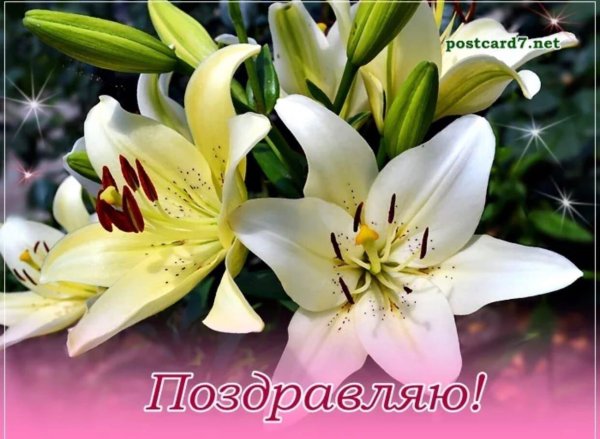 с днем рождения лилия поздравления