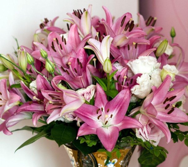 лилия эмпресс