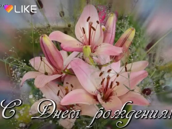 поздравление с лилиями