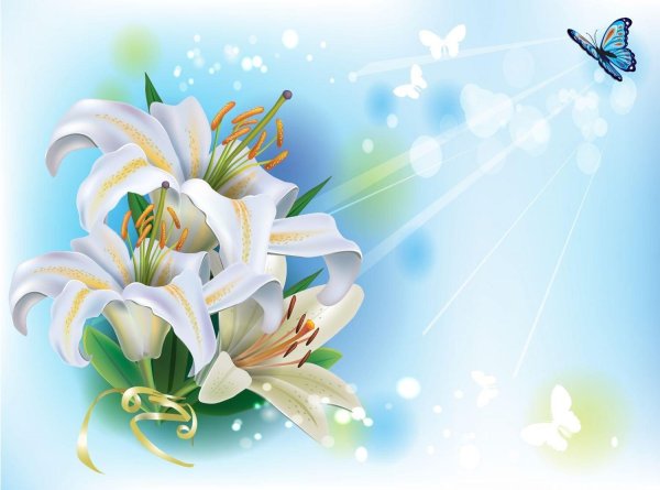 белая лилия