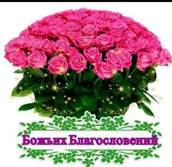 табрикот зодрӯз