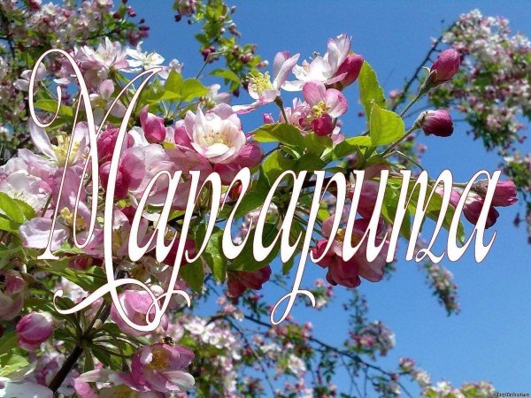 открытки с именем маргарита