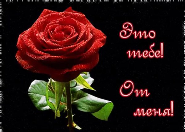 розы для тебя
