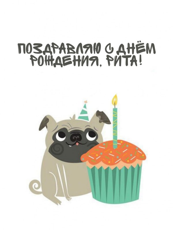 мопс с днем рождения