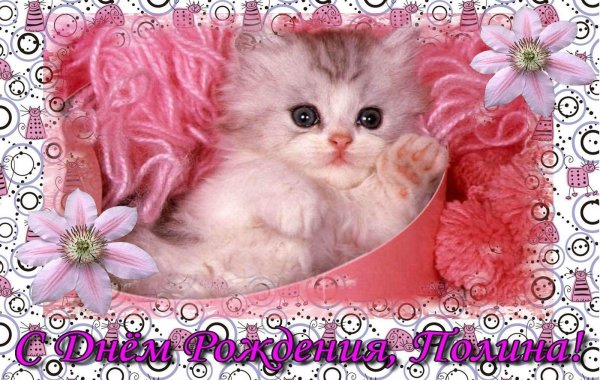 маленький котенок