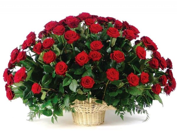 корзина цветов