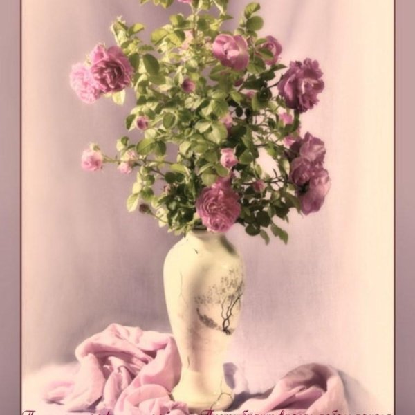 роза в вазе