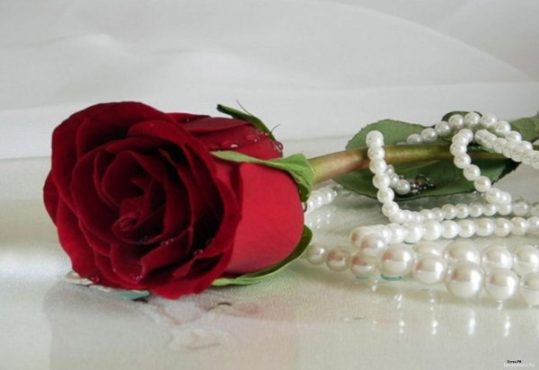 от чистого сердца