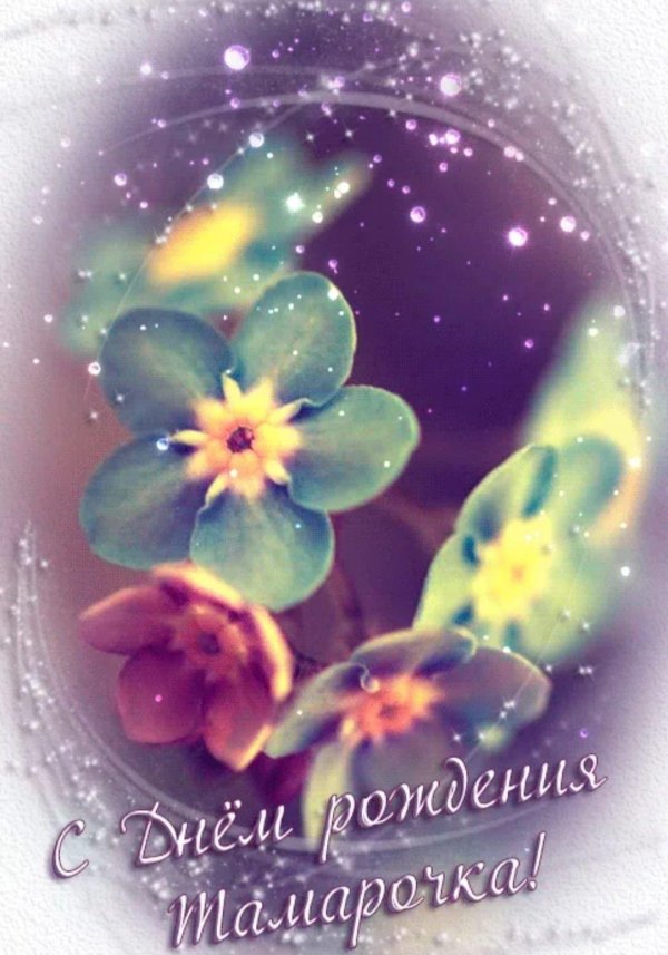 цветок незабудка