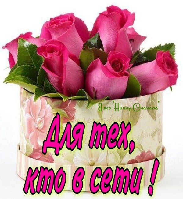 цветы для поздравления