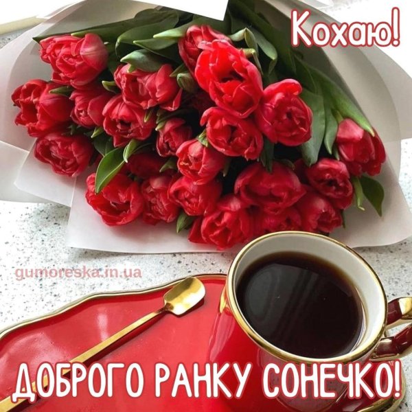 доброго ранку