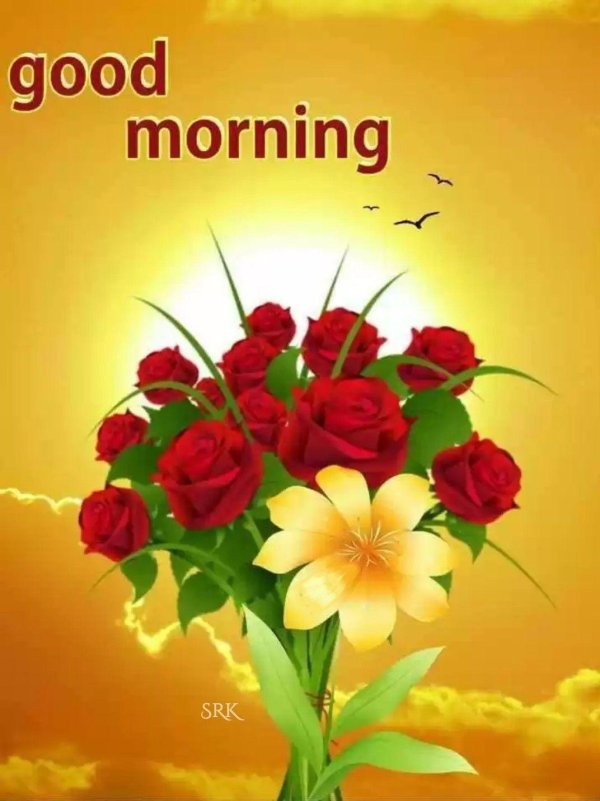 good morning flower