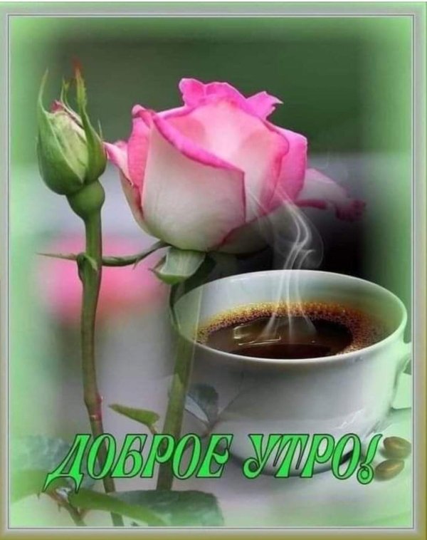 доброе утро аня