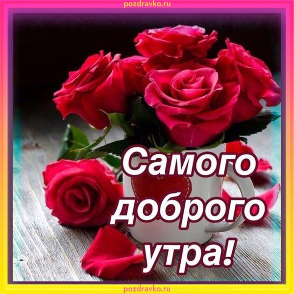 доброго утра розы