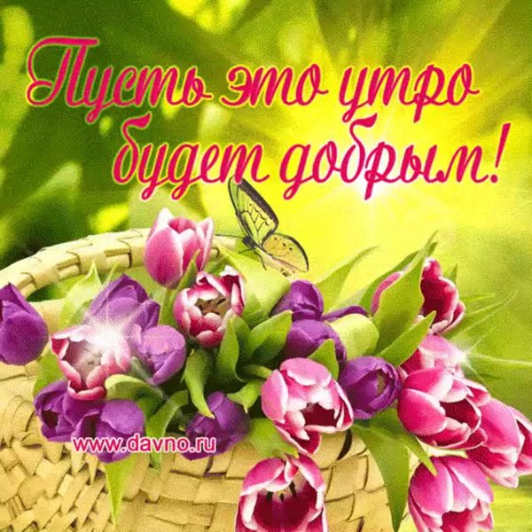доброе утро