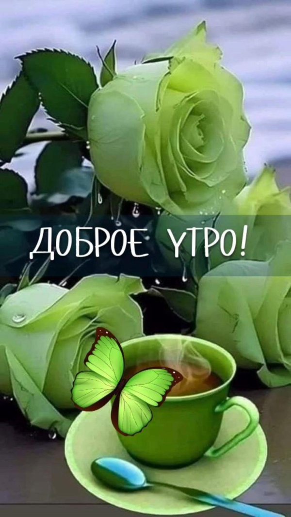 добра утра