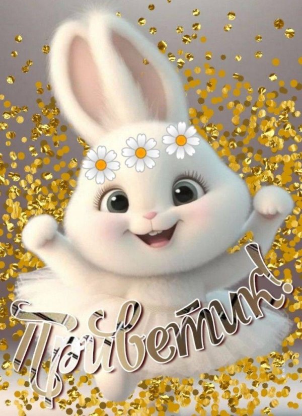 зайчик красивый