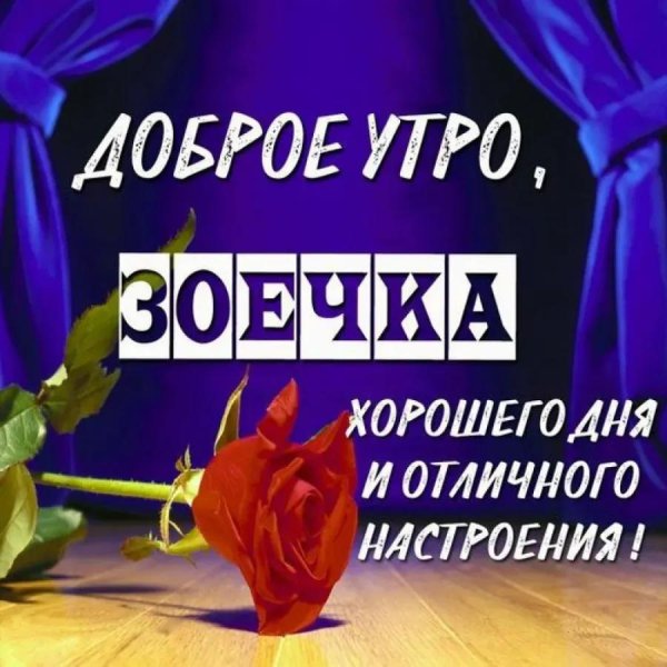 доброе утро зоя
