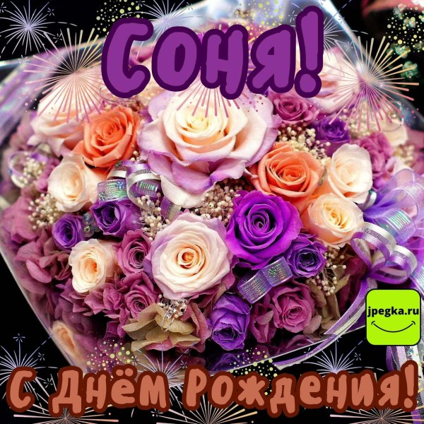 с днём рождения соня красивые