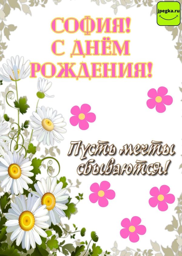 с днем рождения софии