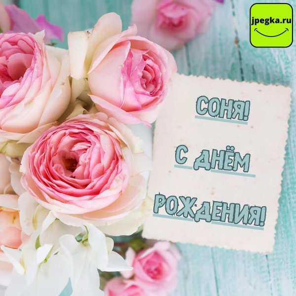 пионовидная роза