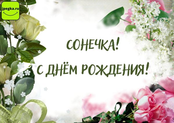 с днем рождения сонечка