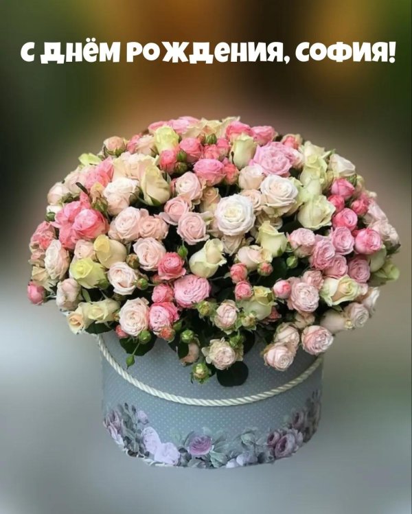 с днём рождения софья