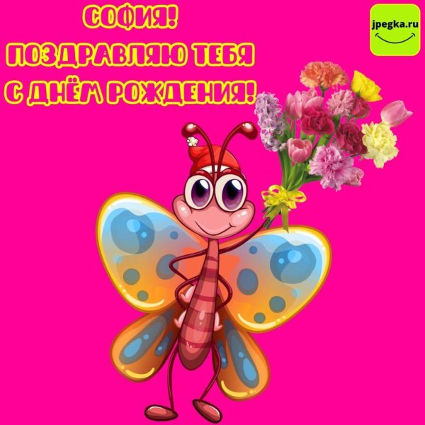 с днем рождения софии