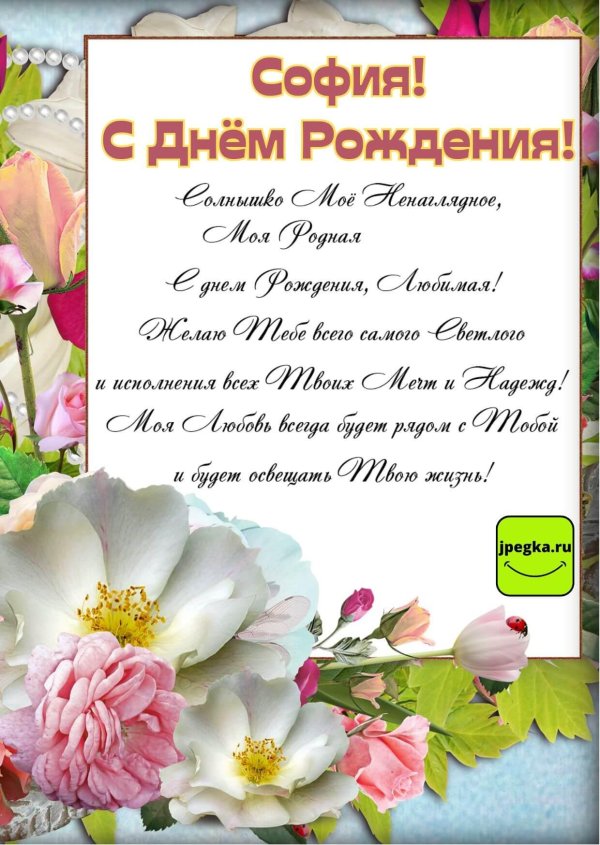 с днем рождения софии
