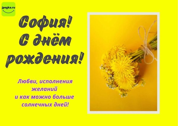 с днём рождения софия девушке