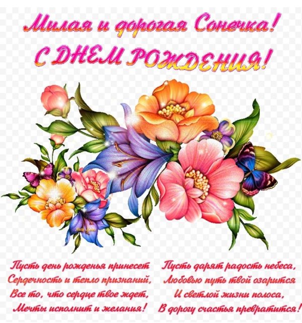 с днём рождения соня красивые