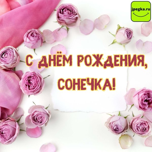 с днём рождения соня красивые