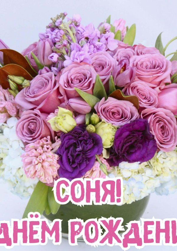 оригинальные красивые поздравления с днем рождения альбине