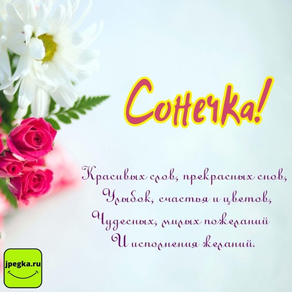 с днём рождения соня красивые