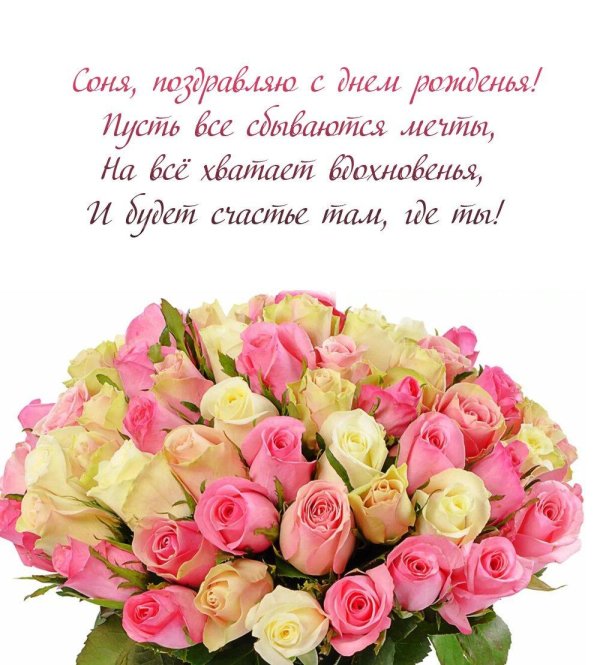 с днём рождения соня красивые