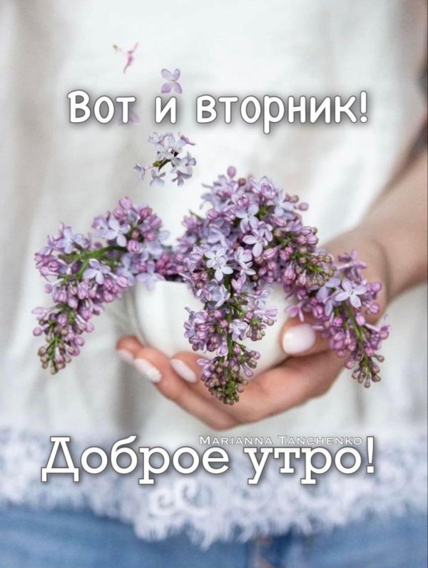 утро вторник