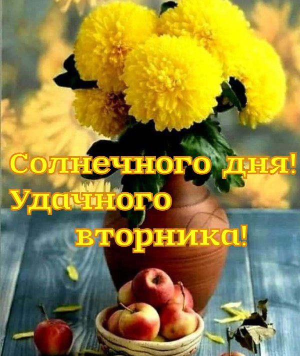 солнечного вторника