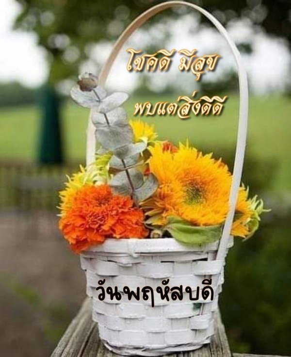 корзинка счастья