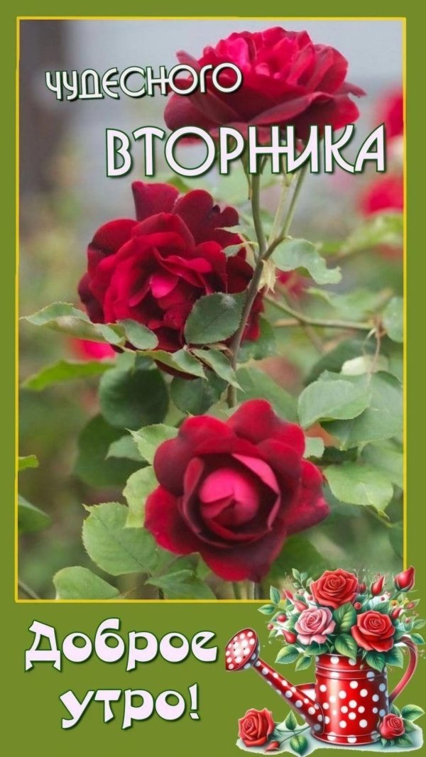 утро вторник