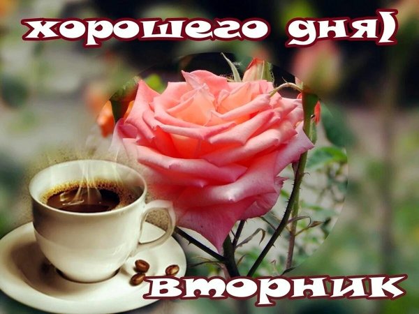 доброго утра вторник