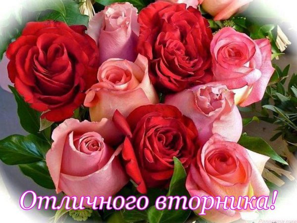 поздравление со вторником