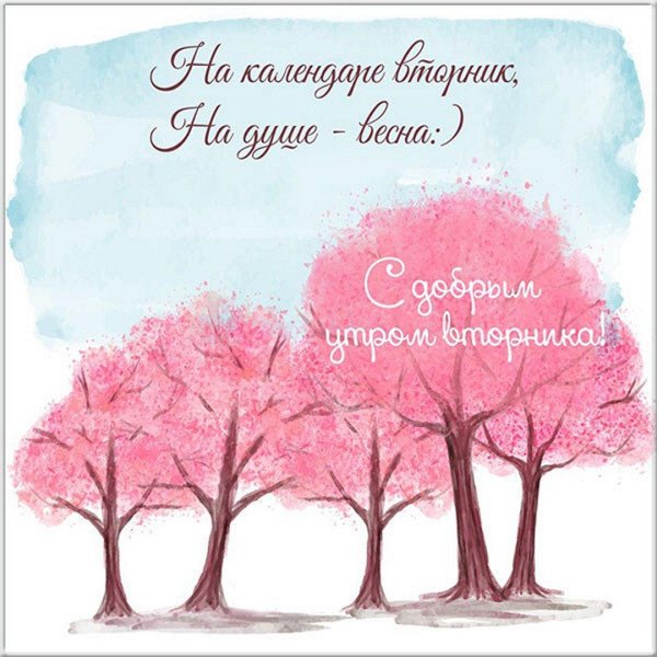 дерево розовое