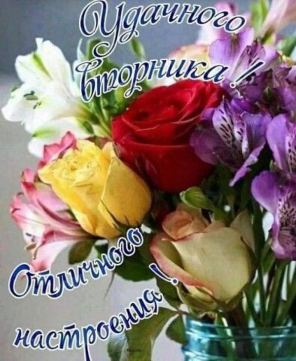 легкого вторника