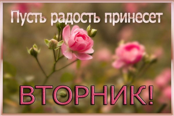 поздравление со вторником