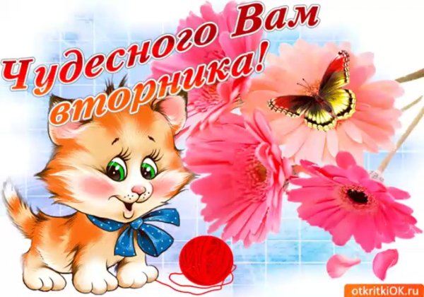 добрейшего вторника