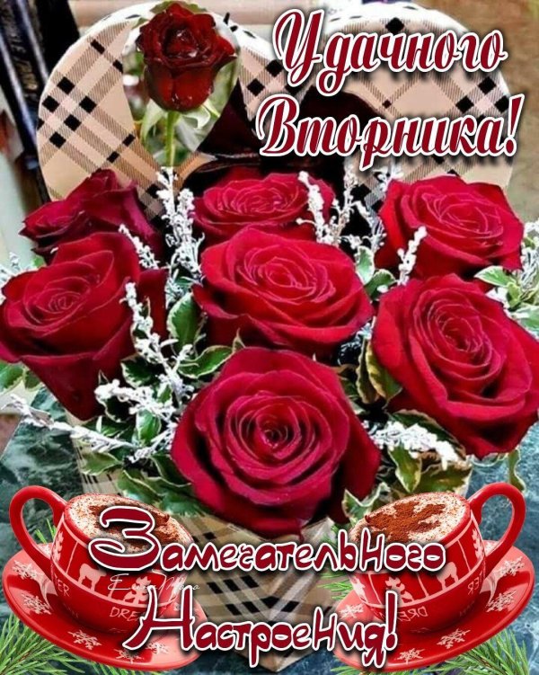 удачного вторника