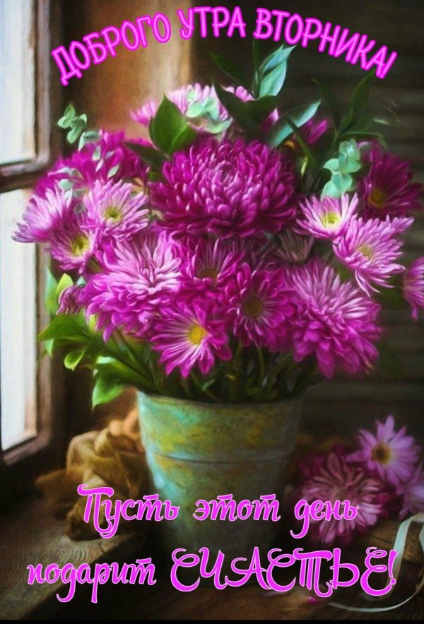 осень цветы