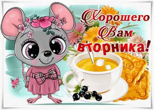 доброе утро во вторник