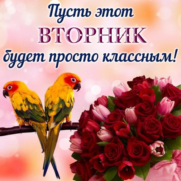 поздравление со вторником