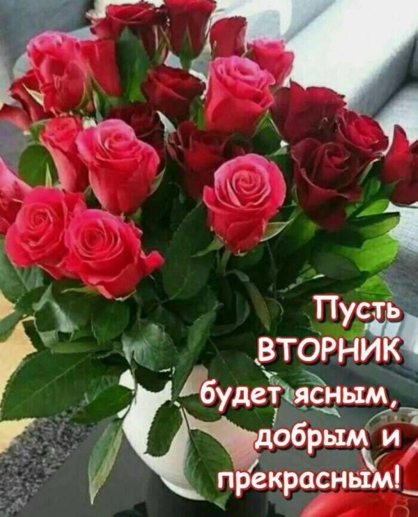 прекрасного вторника